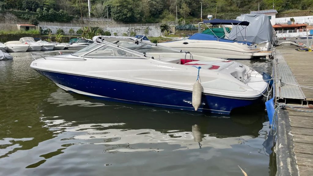 Wellcraft EXEL 21 55